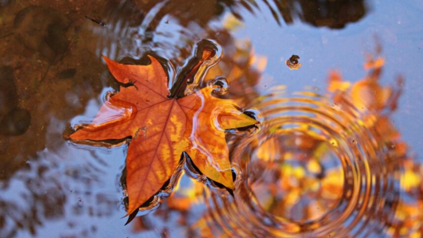 meteo 21 septembrie 2025 cum va fi vremea azi in tara 68cf7938839b6