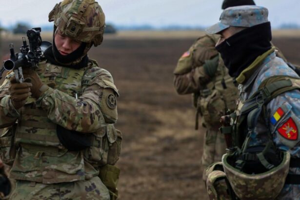 ministrul apararii armata romaniei trebuie sa fie capabila sa reziste pe cont propriu pana vine cavaleria 68cd4b2e7150b