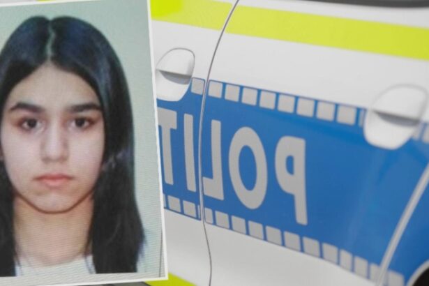 minora disparuta din brasov gasita in casa unui tanar din suceava dupa o saptamana de cautari individul a fost arestat 68bb4a7d7ff4b