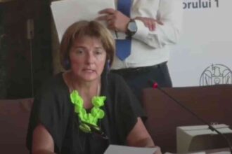 De ce o promovează George Tuță pe șefa Juridicului din Primăria Sectorului 1: controversele și contractele 16 naftanaila m5KnJXoLOKfj6L8w