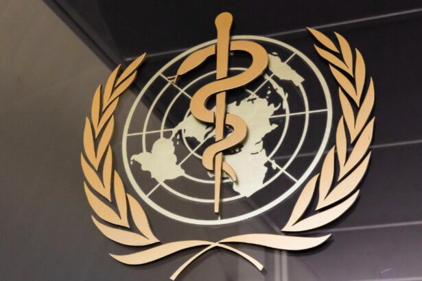 organizatia mondiala a sanatatii si agentiile de sanatate din ue su uk il contrazic pe trump paracetamolul nu cauzeaza autism 68d2b27d12ef4