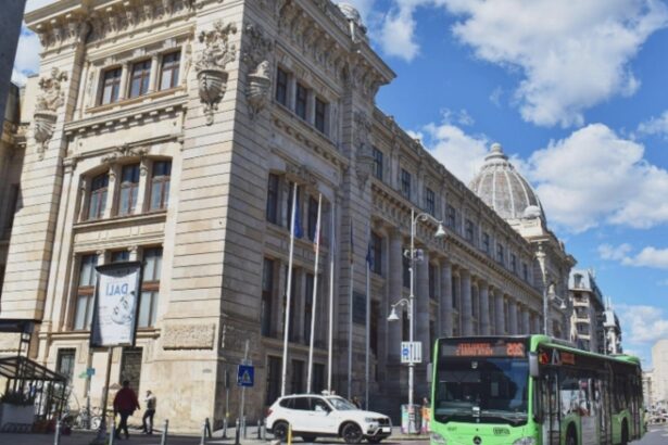 patru linii stb ar putea fi deviate luni in ziua protestelor din educatie este vorba despre autobuze care trec prin piata victoriei 68bacbe43bf4a