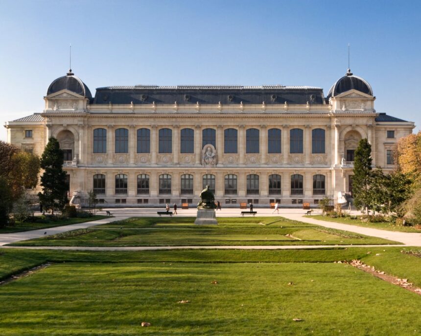 precious gold samples stolen in raid on french natural history museum 68caf4bdd463b