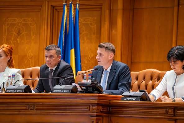 presedintele senatului adoptarea declaratiei romania fara violenta domestica de catre parlament un semn ca liderii politici de la putere si din opozitie au inteles ca violenta do 68dba0dad43ef