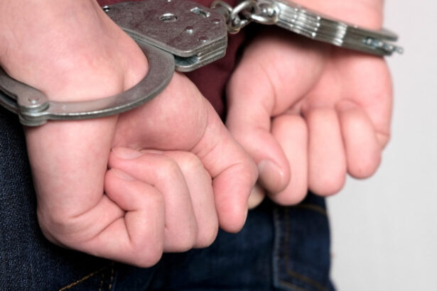 scandal la padure bataie intre culegatori de ciuperci in judetul cluj un barbat a fost ranit iar altul a fost retinut de politie 68d80dd389534