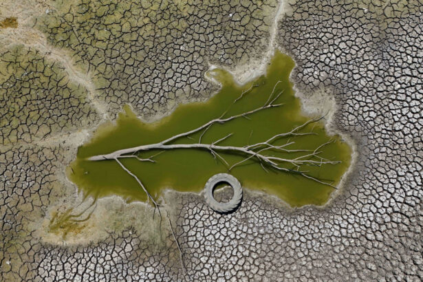 schimbarile climatice si poluarea ameninta resursele europei avertizeaza uniunea europeana 68da62d47cf06