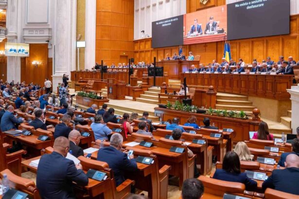 senat mk3JopPy7vTjKGzV