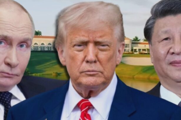 summitul g20 va avea loc la una dintre proprietatile lui trump liderul american ii cheama pe putin si xi la complexul sau de golf 68bc0e1068ad3