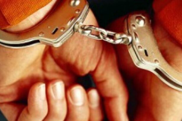 trei barbati arestati preventiv dupa scandalul sangeros din craiova 68c7ff6028ba1