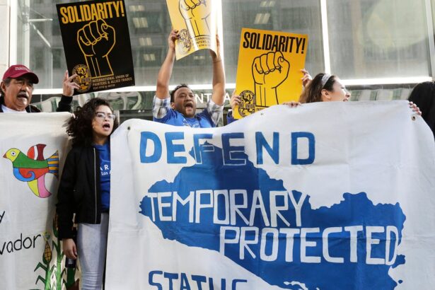 trump gutting protected status for immigrants will strain us healthcare democrats warn 68dbb97e3da4b