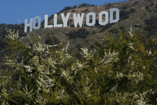 trump renews threat of imposing steep tariffs on films made outside the us 68daa021a1207