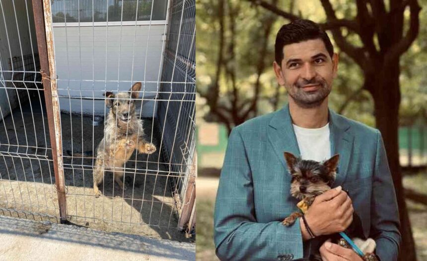 tuta merged AQEZO9x8xDSBkq3v scaled 1