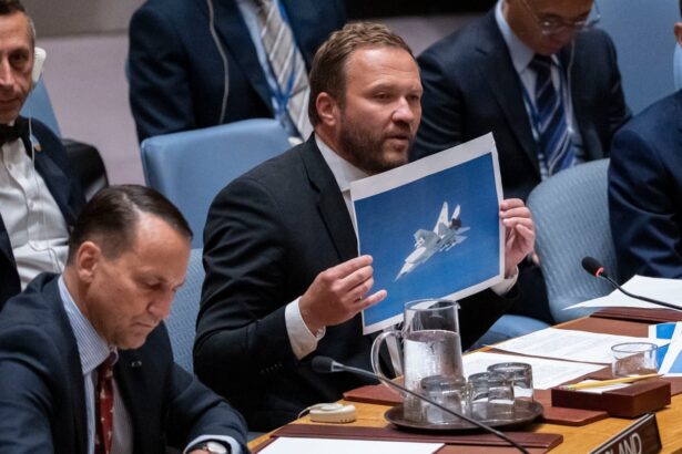 uk and poland vow to confront russian aircraft violating nato airspace 68d19606159b3