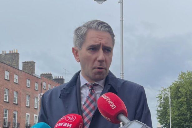 uk exit from echr would remove foundations of good friday agreement 68ba8560a03c1