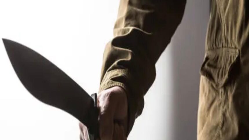 un barbat a atacat cu maceta mai multi copii si politisti agresorul a fost ucis de oamenii legii 68cc6da7d6dbf