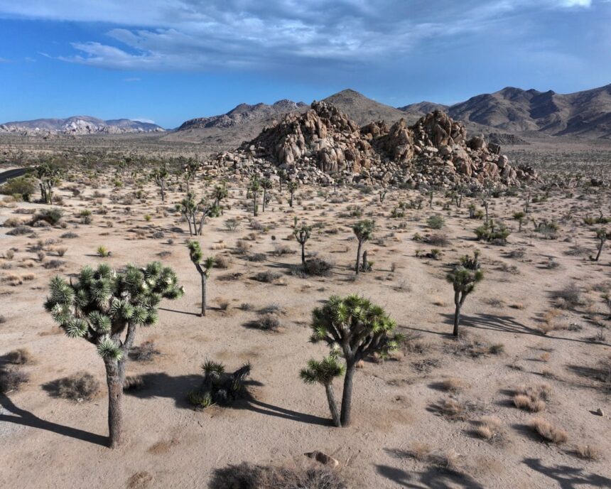 us national park staff fear turmoil as shutdown looms 68dbf2f98e0d2