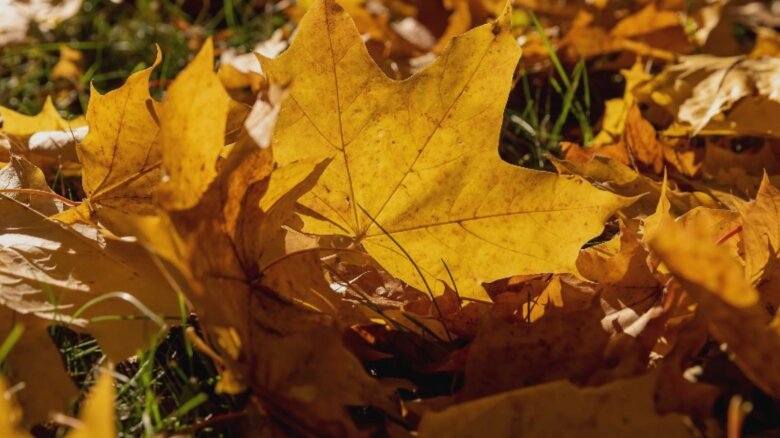 val de caldura persistent bucurestiul si mai multe judete din tara sub cod galben de canicula marti si miercuri 68b6a8a029260