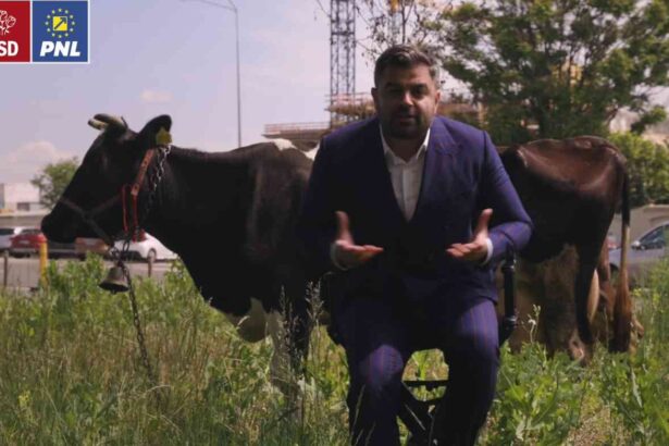 vigheciu Yyv9jKzrK5CGkpB5