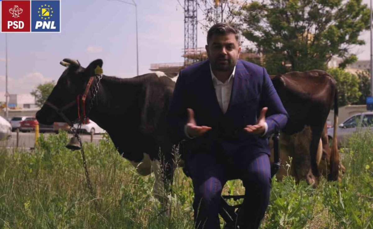 vigheciu Yyv9jKzrK5CGkpB5