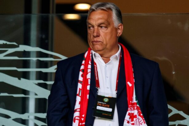 viktor orban se ia la tranta virtuala cu guvernul unei tari europene replici taioase pe retelele de socializare 68cd0403df7be