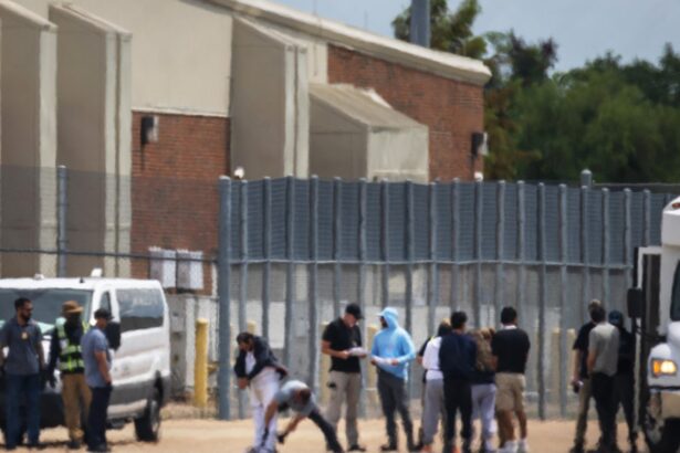 west africans deported by the us were denied their rights says lawyer 68d462369112a