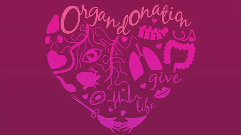 11 octombrie ziua europeana a donarii si transplantului de organe 68e9ec7f78fec