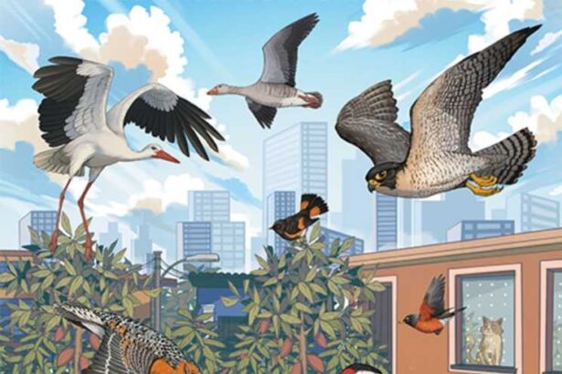 11 octombrie ziua mondiala a pasarilor migratoare onu 68e9f37e3cd21