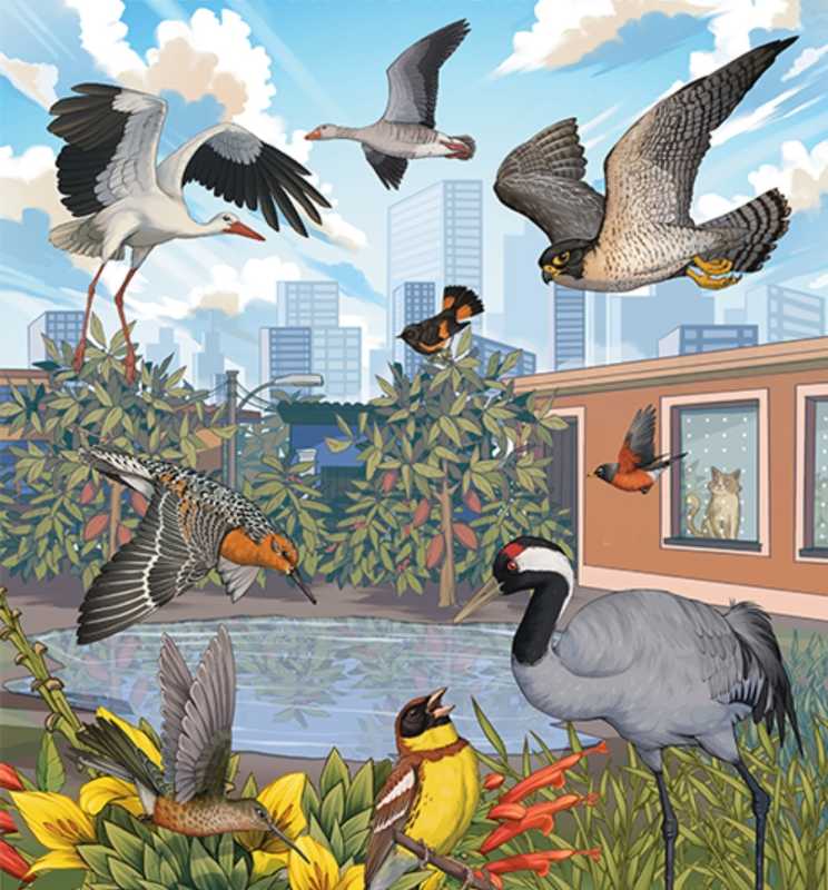 11 octombrie ziua mondiala a pasarilor migratoare onu 68e9f37e3cd21