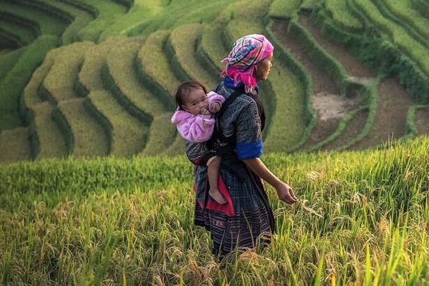 15 octombrie ziua internationala a femeilor din mediul rural onu 68ef39791f6d7