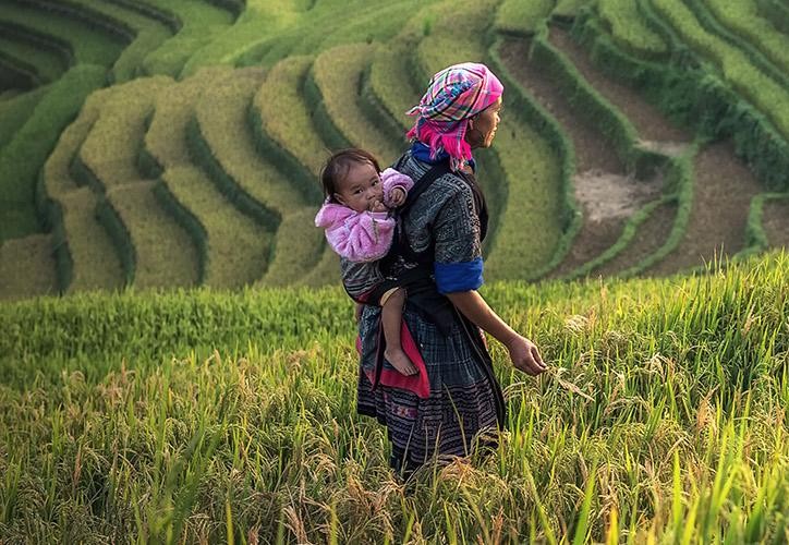 15 octombrie ziua internationala a femeilor din mediul rural onu 68ef39791f6d7