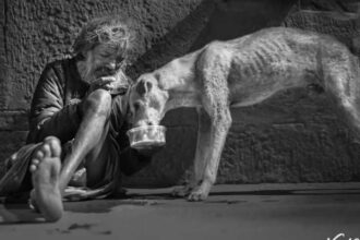 17 octombrie ziua internationala pentru eradicarea saraciei onu 68f1d57a6f185