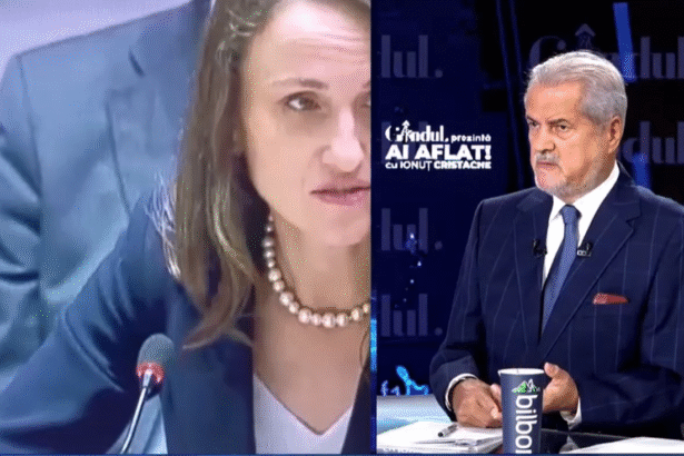 adrian nastase desemnarea oanei toiu ca ministru de externe o greseala 68dd373f2c49f