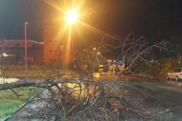 arges pompierii au intervenit pentru indepartarea unor copaci doborati de vant care blocau strazile 68e612e72a068