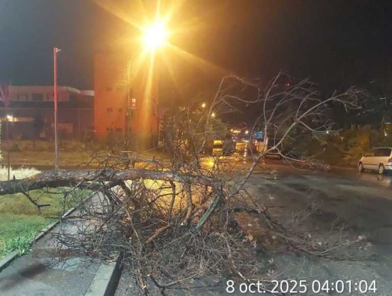 arges pompierii au intervenit pentru indepartarea unor copaci doborati de vant care blocau strazile 68e612e72a068
