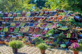 arges zeci de mesteri populari si producatori agricoli la targul rod cu spor de la muzeul golesti 68df6b2c25745