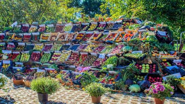 arges zeci de mesteri populari si producatori agricoli la targul rod cu spor de la muzeul golesti 68df6b2c25745