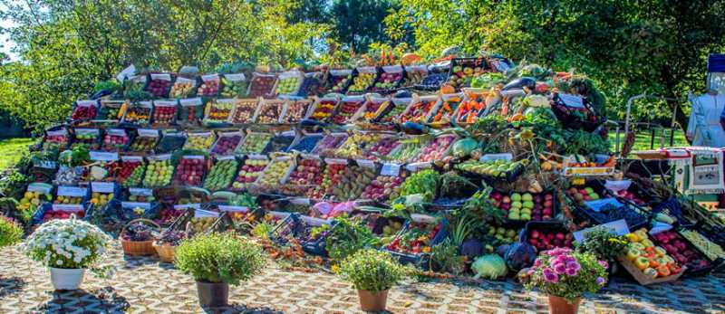 arges zeci de mesteri populari si producatori agricoli la targul rod cu spor de la muzeul golesti 68df6b2c25745
