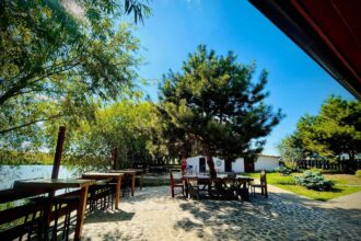 balta mica belciugatele