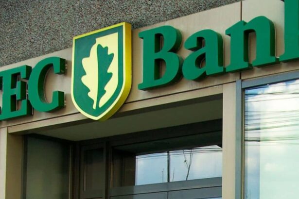 bid si cec bank semneaza prima conventie de garantare pentru proiectele publice de investitii strategice domeniile eligibile 68ee39fd31b62