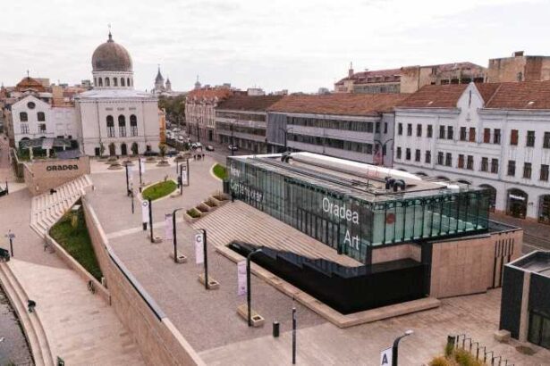 bihor centru de arta vizuala contemporana construit de o primarie de la zero deschis vineri in oradea 68f0ca45af48a