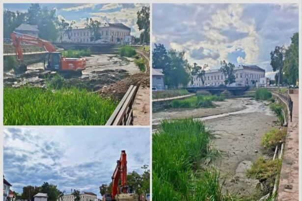 bihor lucrarile de decolmatare continua pe valea nimaiesti in beius raul infrumusetat cu nuferi si lotusi 68e784150eea8