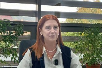 bistrita nasaud peste 200 de locuri de munca oferite absolventilor la bursa ajofm 68e8e4c6c815c