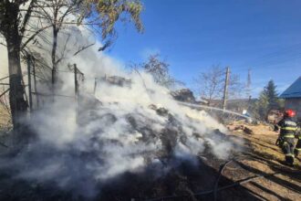 botosani 35 de tone de furaje au ars intr o gospodarie din draxini 690394dd233e5