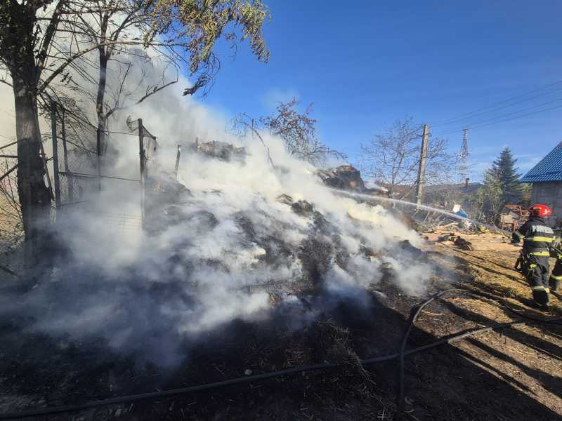 botosani 35 de tone de furaje au ars intr o gospodarie din