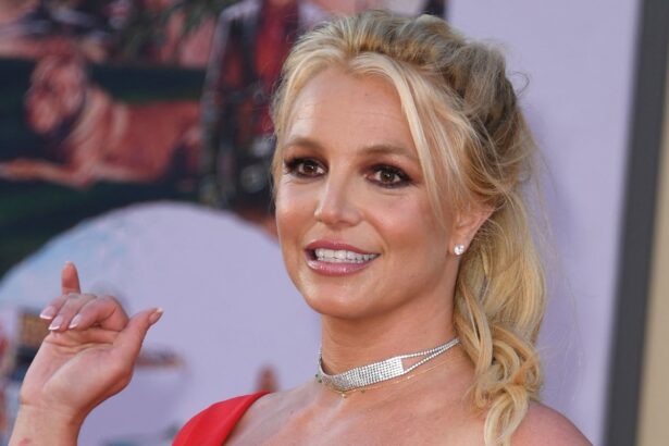 britney spears calls claims in kevin federlines memoir extremely hurtful 68f0b46485866