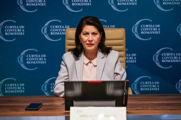 calugareanu curtea de conturi va aborda teme din sfera agendei 2030 in domenii precum sanatatea educatia si munca 68fb59d5da996