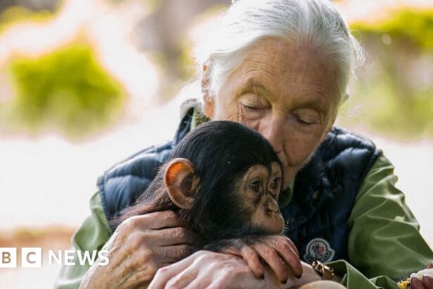 conservationist dame jane goodall dies aged 91 68dd9a681cc7d