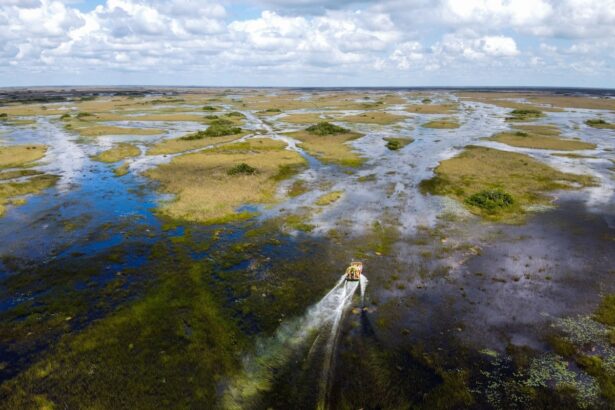 contract that never was adds twist to scientists fight over everglades project 68f62a3ebd656