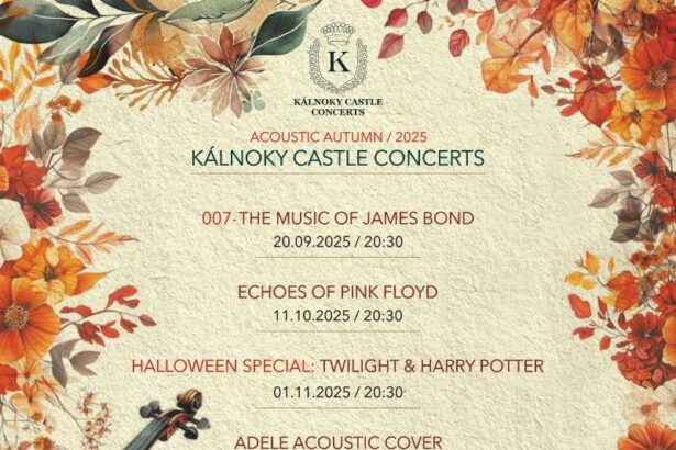 covasna ecouri pink floyd la castelul kalnoky al doilea concert din cadrul stagiunii acoustic autumn 68e4f9a2d97f6