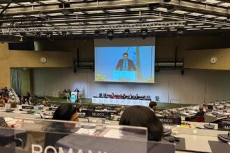 deputatul cosmin corendea reafirma angajamentul romaniei fata de dreptul international umanitar 68f8df692e6b3